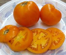 Image result for Orange Tomato
