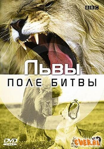 BBC: Поле битвы. Львы (2002) DVDRip - Документальные фильмы, животные ...