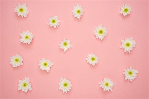 Image result for Spring Background