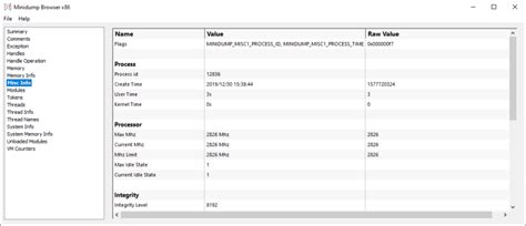 Rezultat imagine pentru View Minidump File