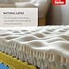 Kurlon Ortho Plus Natural Latex Mattress| Egg Tray Profiling | Profile ...