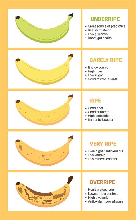 Banana ripeness chart. Stages of banana fruit ripeness with infographic. From green underripe ...