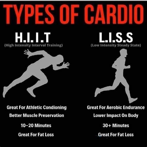 Different Types of Cardio Exercises 的图像结果