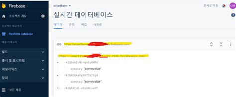 Firebase Python Con Raspberry Pi 的图像结果