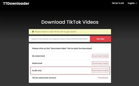 How To Download TikTok Video in MP3 Format on iPhone/Mac