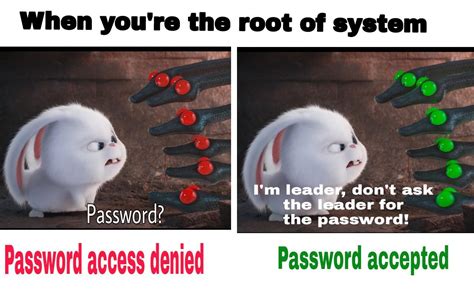 Image result for Linux Root Meme