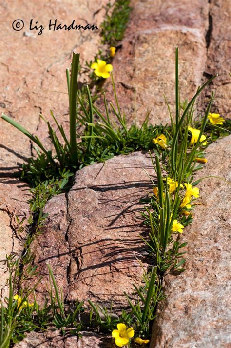 Nature Undefined Edge 的图像结果