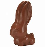 Image result for Mini Lop Ear Rabbit