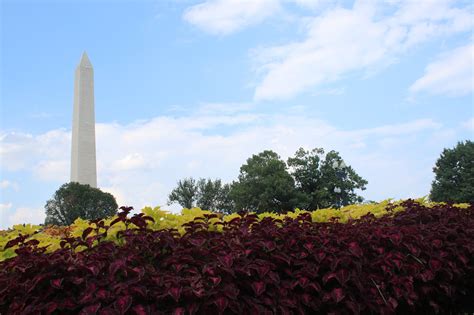 The National Mall 的图像结果