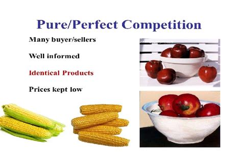 Image result for Perfect Competition
