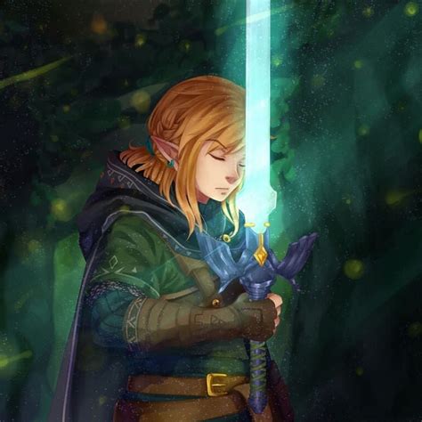 Image result for BOTW Speed Run Tutorial