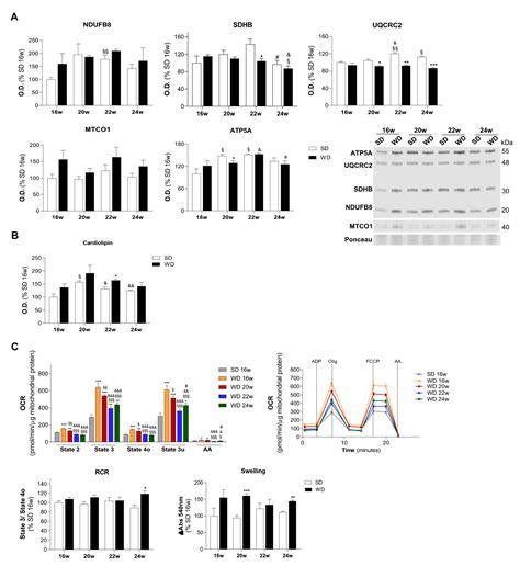 The Alterations of Mitochondrial Function during NAFLD Progression—An ...