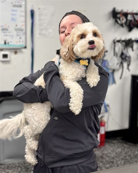 Art City Vets & Urgent Care (@artcityvets) • Instagram photos and videos