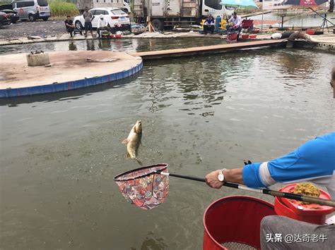 打鱼能赢钱的游戏怎么打（打鱼挣钱游戏）-网络资讯||网络营销十万个为什么-商梦网校|商盟学院