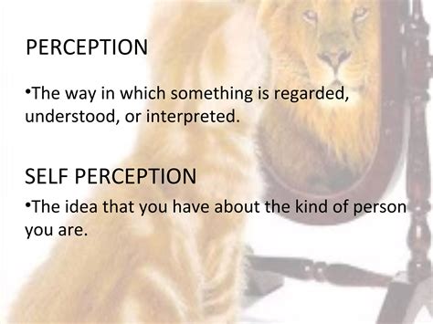 Examples of Self Perception 的图像结果