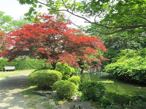 Oshu Tourism (2023): Best of Oshu, Japan - Tripadvisor