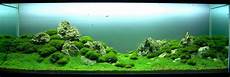 amano aquascape the of aquascaping joe blogs amano aquascape the of aquascaping joe blogs