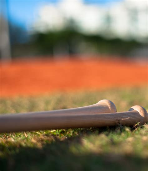 Baseball Tools 的图像结果