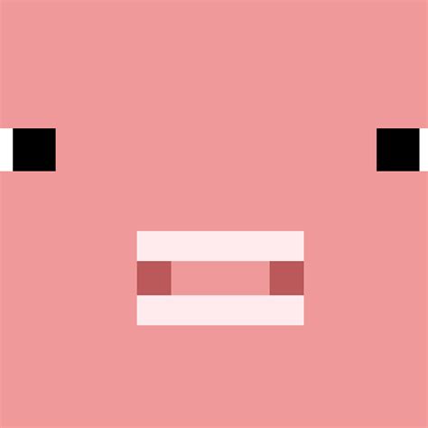 Minecraft Pig Face