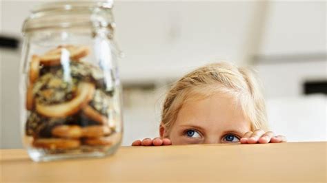 Image result for Computer Cookies 101