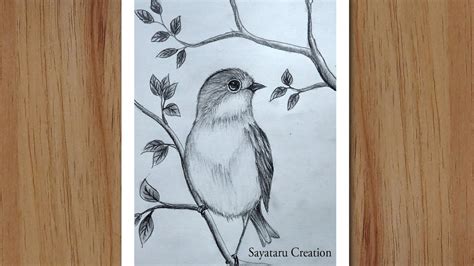 Image result for Bird Drawing Shading