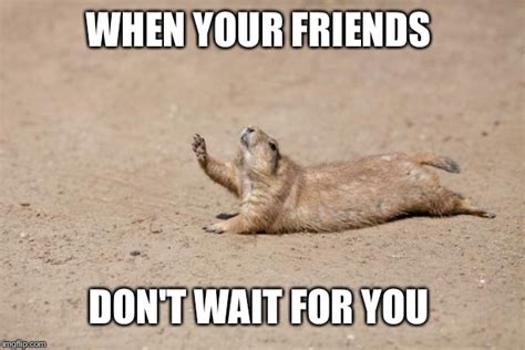 Image result for Dramatic Gopher