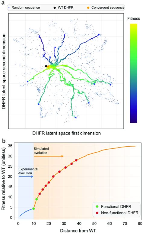 Evolutionary Landscape 的图像结果