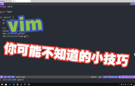 Simvim Tutorial 的图像结果