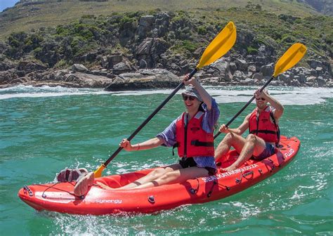 ANIMAL OCEAN SEAL KAYAKING (2026) All You Need to Know BEFORE You Go ...
