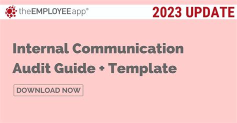 Image result for Audit Communication Processes