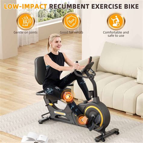 Recumbent Bike Workout Plan: Tailored Routines for Every Fitness Level