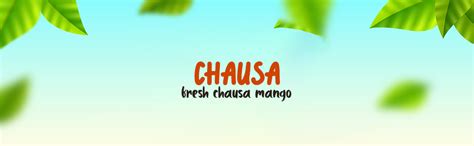 Fresh Mango, Chausa, 1 Kg, Fresh : Amazon.in: Grocery & Gourmet Foods