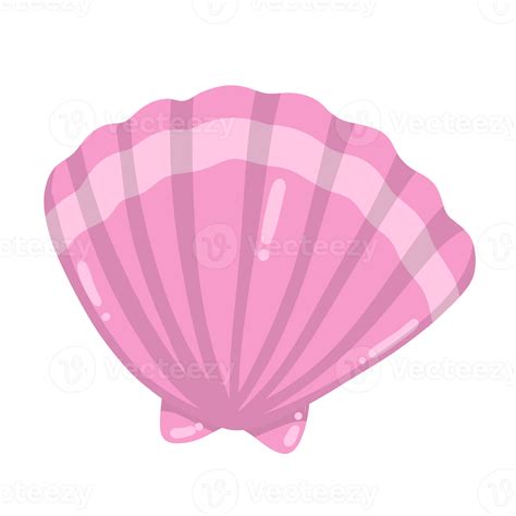 Shell Cartoon 的图像结果