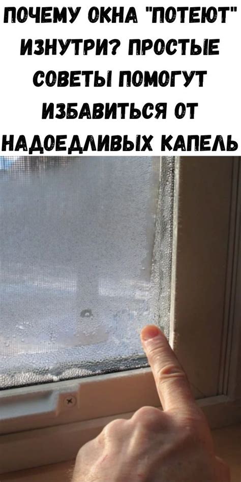 Потеют пластиковые окна в квартире изнутри: причины и способы устранения