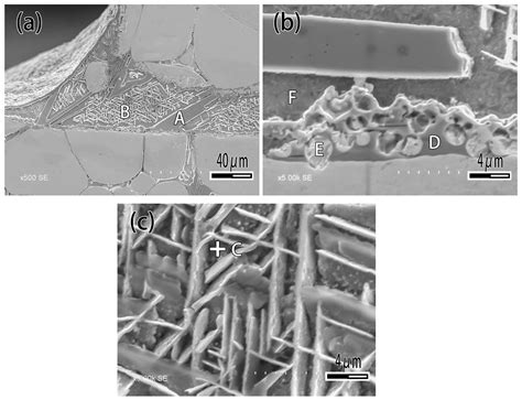 Effect of Ti on Microstructure and Properties of Tungsten Heavy Alloy ...