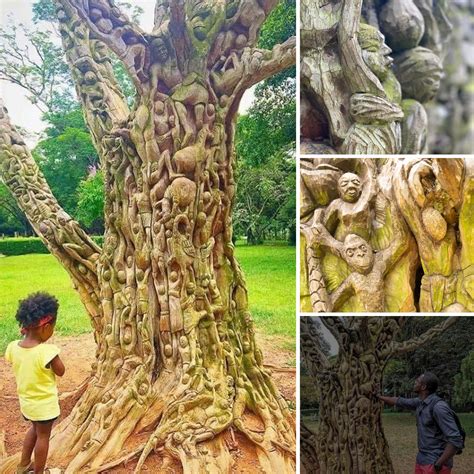 Aburi Botanical Gardens’ “Tree of Life”: A Masterpiece of Sculpted Tree ...