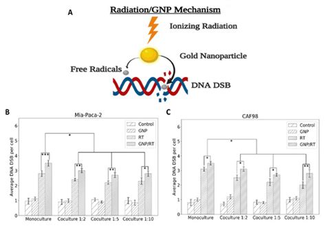 Potential of Gold Nanoparticles in Current Radiotherapy Using a Co ...