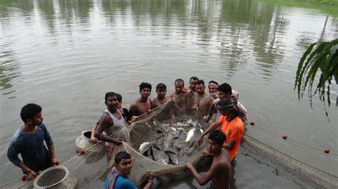 WAD Rahara | Central Institute of Freshwater Aquaculture