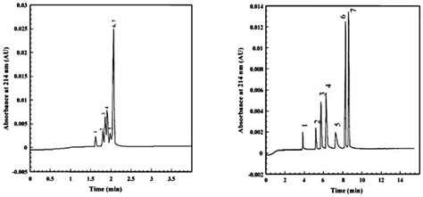 Application of Carbon Nanotubes in Chiral and Achiral Separations of ...