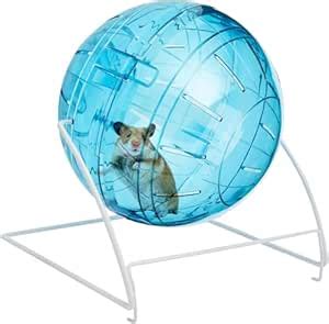 Buraq 4 in 1 Hamster Fitness Ball - | Exercise Ball | Maintain Health ...