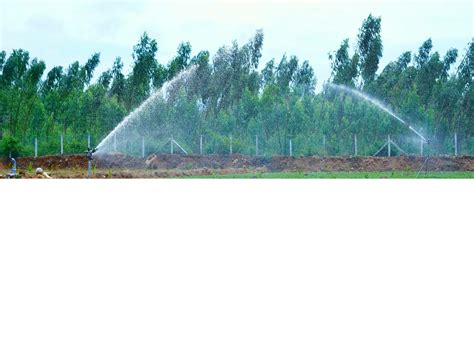 Cenmark Agronomics Private Limited | Drip Irrigation | Sprinkler Irrigation