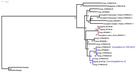 Parasitoid Distribution and Parasitism of the Fall Armyworm Spodoptera ...