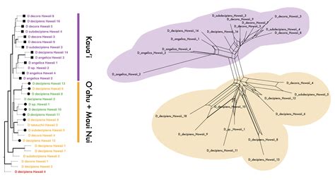 Research - Tribble Lab