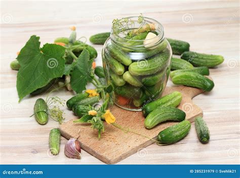 Preparing Preserved Pickled Cucumbers in Spicy Brine Stock Image ...