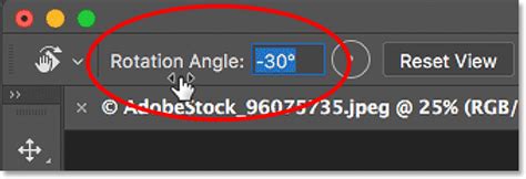 Ultimate Guide: How to Rotate Canvas in Photoshop for Beginners