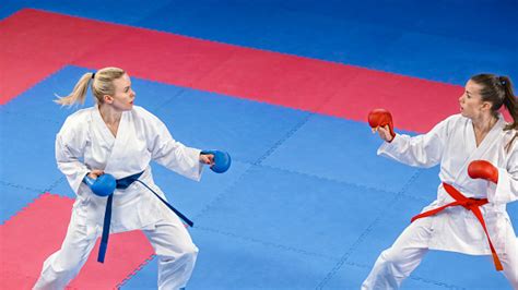 Image result for Karate Framework Java