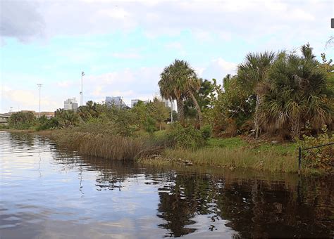 Earth Day River Shoreline Cleanup - West Team - Invasive Plant ...