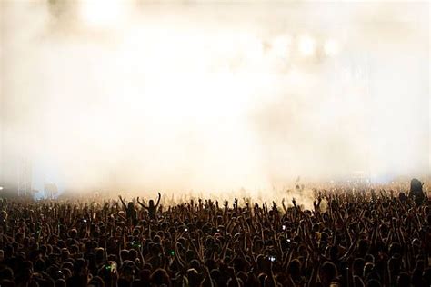 Concert Fans 的图像结果