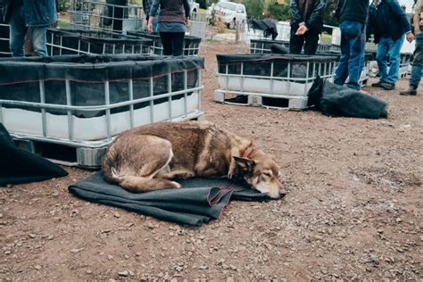 Image result for Johnson Su Bioreactor Composting System