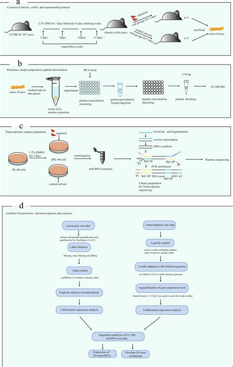 Image result for Sample Analysis